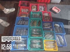 [통영] [팁런] ''핫' 무늬,일인,두자리,마리수,(오늘16시,소수인원…