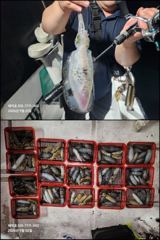 [마산] "해적" 무늬 팁런 사이즈&마릿수 굿! 3톤 세자릿수 오바~!!…