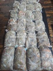 9월1일 초대박 조황 17명조사님들 ..장원33수 군산 홈런호 …