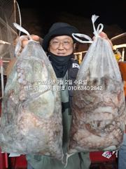 1일 홈런호 야간문어 초대박 조황 17명 언제나 굿조황으로 마무리 합니다