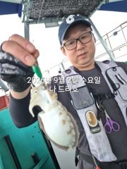 9/2일,올해도 재미있는 쭈꾸미낚시~남녀노소 누구나 할 수 있는 생활낚시~실시간~군산 나드리호