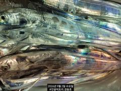 먼바다왕갈치외줄16석 씨알급까지손맛~수요일 오늘5석여유
