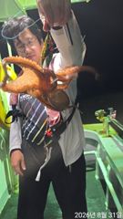 칠성호 돌문어 제법 잡았습니다 ~~