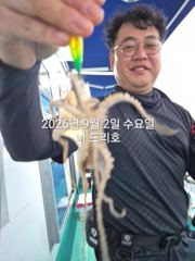 9/2일,올해도 재미있는 쭈꾸미낚시~남녀노소 누구나 할 수 있는…