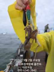 대호피싱호 쭈꾸미가 느나느나 잘 나오네요  사진