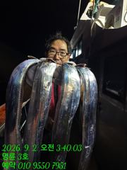 (14석통영명륜3호)굵은 씨알로 손맛 보고 왔습니다 쿨러구경 고생하셨습니다(계속예약가능) 사진