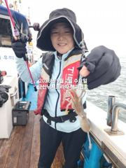 9/2일, 남녀노소 누구나 재미있고 맛있는 쭈꾸미낚시~오늘 잘 … 사진