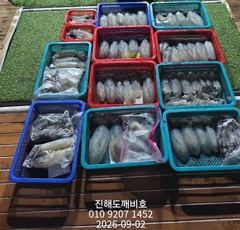 [진해] 팁런무늬오징어 1일출조조황 오늘예약가능합니다 사진