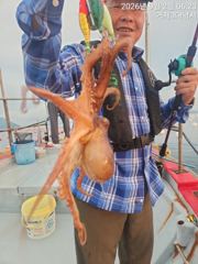 [거제] (문어)실시간 사량도 어장권 전원손맛 진행 中~3대호(3일 예약…