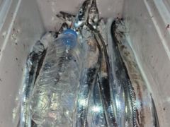 [마산] 체력만 좋으면은 100수는 기본입니다