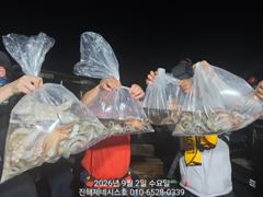 [진해] 문어] 오늘 야간문어 예약가능~ 1.2k, 1.3k 손맛굿~ 고…