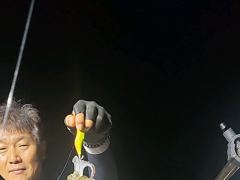 무늬팁런 씨알급들이 달라듭니다~