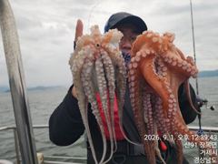 [진해] 1일세진호/돌문어kg.중치들마릿수많이잡고~목.가능~