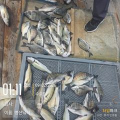 [고성] 병산 감성돔35외 마리수 선상배 및 선외기 흘림조황~~ 사진