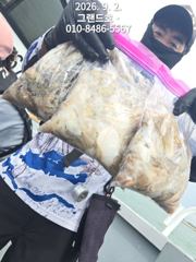 9월2일 그랜드호  쭈꾸미 조황입니다 (내일 캔슬  여유자리 있습니다 ) 사진