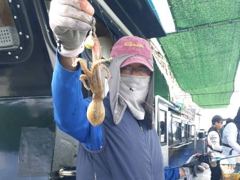 [사천] 쭈꾸미 쭉쭉 올라옵니다  내일도 예약중입니다