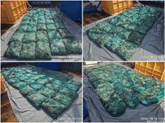 [고강호] [ 고강호 ] 9월 2일 [ 오늘도 장원 300수 업 !! 평 100수 업 ! ]  [ 인천배낚시 청마피싱 / 인천선상낚시 / 인천낚시배 ]