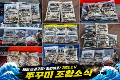 [쭈갑조황] 9.1 하와이호 쭈꾸미 조황소식