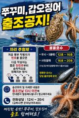 쭈꾸미낚시 조황!! 오늘도 미친듯이 잘나오는 쭈꾸미들!! 오후에 물때 맞아서 잘나옴!