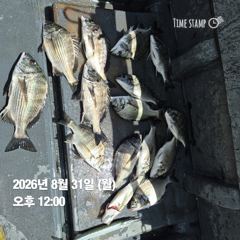 9시간전 [포항] 포항 남부권 구룡포 만진호 팁런 조황