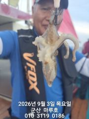 9월 3일 군산마루호 쭈꾸미 실시간 조항 ~☆