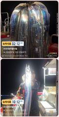 (南)남해조황 - 통영 뉴 아시아호>> 1타 3피~5피까지 대갈치가 줄을 타고...