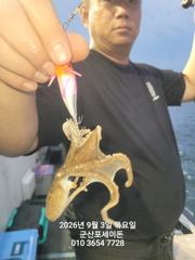 9/3일, 군산 쭈꾸미~쭈꾸미낚시~갑돌이는 보너스~~ 오늘 조황~내일도 갑니다~군산 포세이돈호
