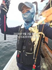 9/3일, 군산 쭈꾸미~남녀노소 즐기는 생활낚시~갑돌이는 보너스~실시간~내일도 갑니다~군산 범고래호