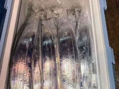 [3일,준내만갈치]엘보비상!! 만쿨성공! 이번주 금/토 내만갈치예약가능!! 자리널널/황제낚시가능!
