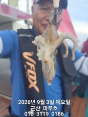9월 3일 쭈꾸미 실시간 조항~☆