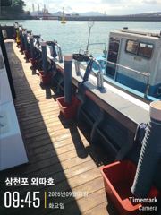 내일 조금물때 쭈꾸미 예약중입니다