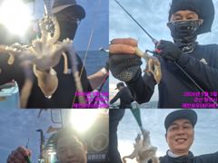 레인보우호 쭈꾸미 종일 실시간 조황(3일) 사진