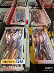 [진해] [갈치/텐빈/텐야]3일입항~3지4지급까지 쿨러만땅[금.토.일]내… 사진
