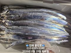 "내만 갈치" 회무침먹고~ 1타1피~피딩타임~(예약가능합니다)