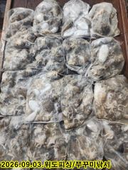 3일 격포위도피싱 쭈꾸미 15분조황입니다. 사진