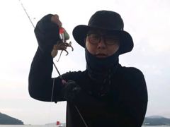 [사천] 삼천포 쭈꾸미 세자리수조황 팍팍