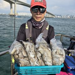 조황정보 - 인천 [마린스타 1호 &amp; 3호] 9월 2일(수) 장원 318마리!!!! [쭈꾸미] 조황!!! - 인천 만석부두 마린스타호