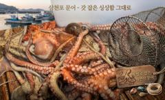 (南)남해조황 - 제수용 냉동문어 판매 (삼천포 통발조업)