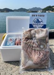 제수용 냉동 돌문어 판매 (삼천포 통발조업문어)