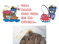 [사천] 삼천포덕성호 돌문어 출조 예약 받습니다.(2026년 9월 03일…