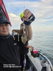 오늘의조황 - 9월3일 아침에 느냐느냐 있었지요 - 홍원항 엔젤피싱호,배낚시,바다낚시 전문