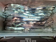 내만9월4일입항 씨알좋은 폭풍입질 오늘예약가능합니다 