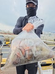 (南)남해조황 - 삼천포 마린보이 9. 6. 일요일 풍성한 주간문어 뜯으로 출항합니다. 사진