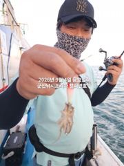 9/4일, 군산주꾸미~ 오늘도 나오고 있어요~점점 좋아지는 쭈꾸…
