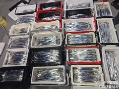 우와~4일새벽,내만칼치 3지까지 어마어마 전원퍼담고 초대박~일,월,화욜예약가능~