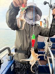 오늘의조황 - 9월2일 쭈꾸미 갑이 전원 망탱이 조황 - 홍원항 한스타호
