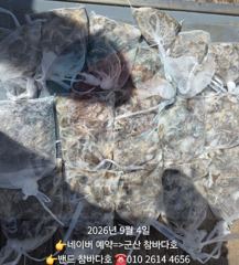 4일 군산 쭈 조황입니다.  [군산 참바다호]