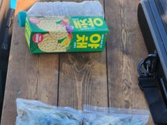 9월 4일 해룡호 조황정보 사진