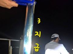 [마산] 내만갈치 사이즈 마리수 굿굿!!! 100수 이상 낚낚GOGO~ 사진