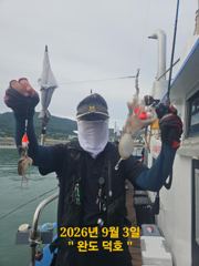 완도덕호 9.8 쭈꾸미 출조모집